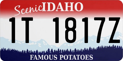 ID license plate 1T1817Z
