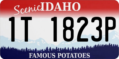 ID license plate 1T1823P