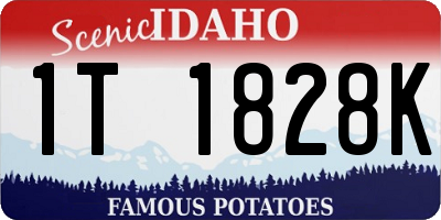 ID license plate 1T1828K