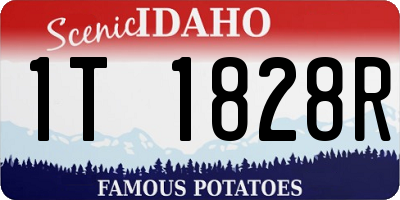 ID license plate 1T1828R