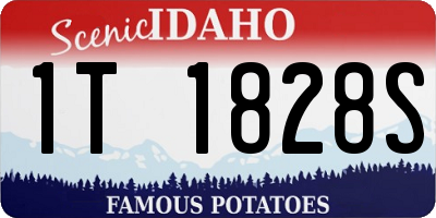 ID license plate 1T1828S