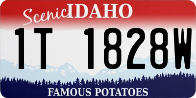 ID license plate 1T1828W