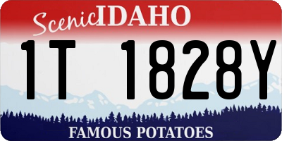 ID license plate 1T1828Y