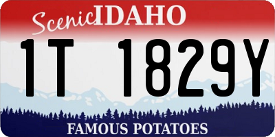 ID license plate 1T1829Y