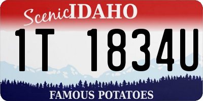 ID license plate 1T1834U