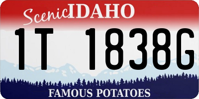 ID license plate 1T1838G