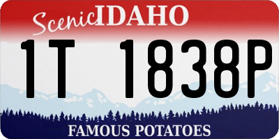 ID license plate 1T1838P