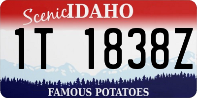 ID license plate 1T1838Z