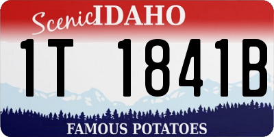 ID license plate 1T1841B