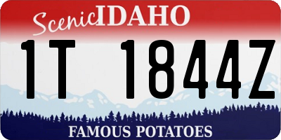 ID license plate 1T1844Z