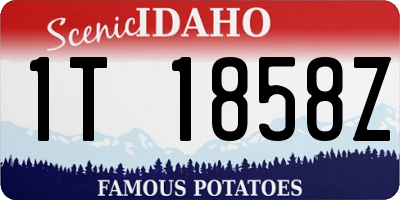 ID license plate 1T1858Z