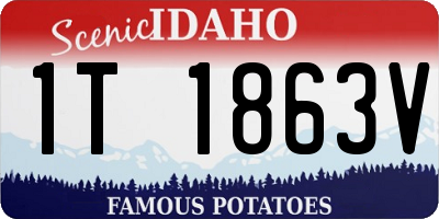 ID license plate 1T1863V