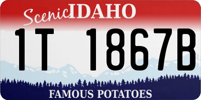 ID license plate 1T1867B