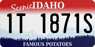 ID license plate 1T1871S