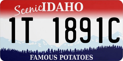 ID license plate 1T1891C