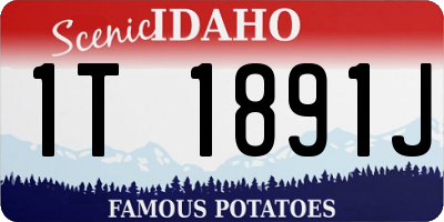 ID license plate 1T1891J
