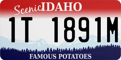 ID license plate 1T1891M