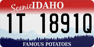 ID license plate 1T1891Q