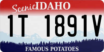 ID license plate 1T1891V
