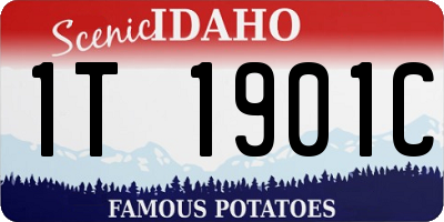ID license plate 1T1901C