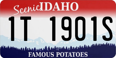 ID license plate 1T1901S