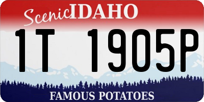 ID license plate 1T1905P
