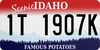 ID license plate 1T1907K