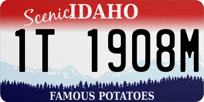 ID license plate 1T1908M