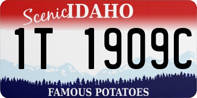 ID license plate 1T1909C