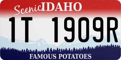 ID license plate 1T1909R