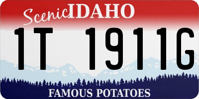 ID license plate 1T1911G