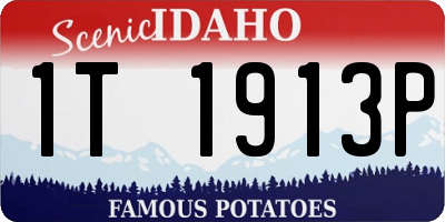 ID license plate 1T1913P