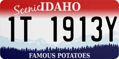 ID license plate 1T1913Y
