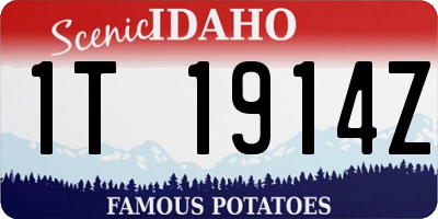 ID license plate 1T1914Z