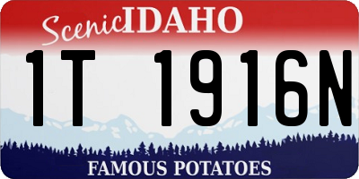 ID license plate 1T1916N