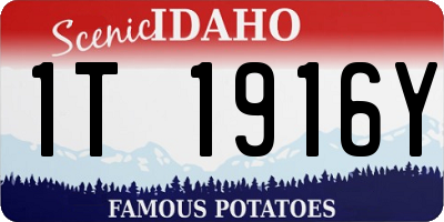 ID license plate 1T1916Y