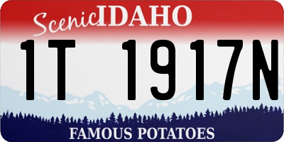 ID license plate 1T1917N