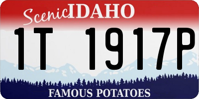 ID license plate 1T1917P
