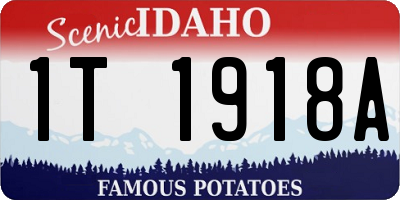 ID license plate 1T1918A