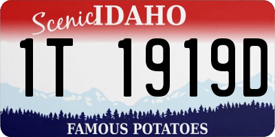 ID license plate 1T1919D