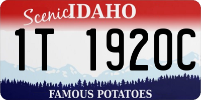 ID license plate 1T1920C
