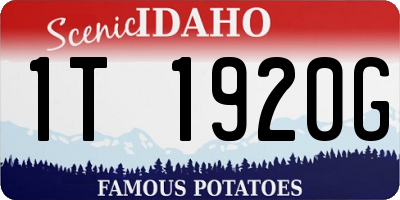 ID license plate 1T1920G