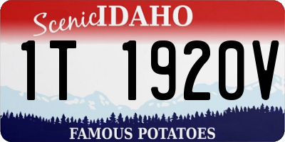 ID license plate 1T1920V