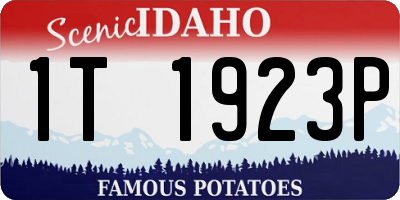 ID license plate 1T1923P