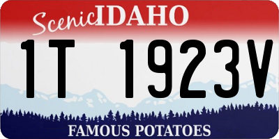 ID license plate 1T1923V