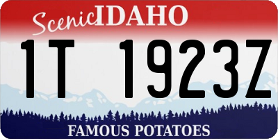 ID license plate 1T1923Z