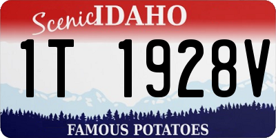 ID license plate 1T1928V