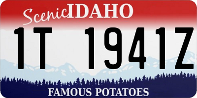 ID license plate 1T1941Z