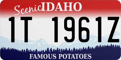 ID license plate 1T1961Z