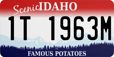 ID license plate 1T1963M